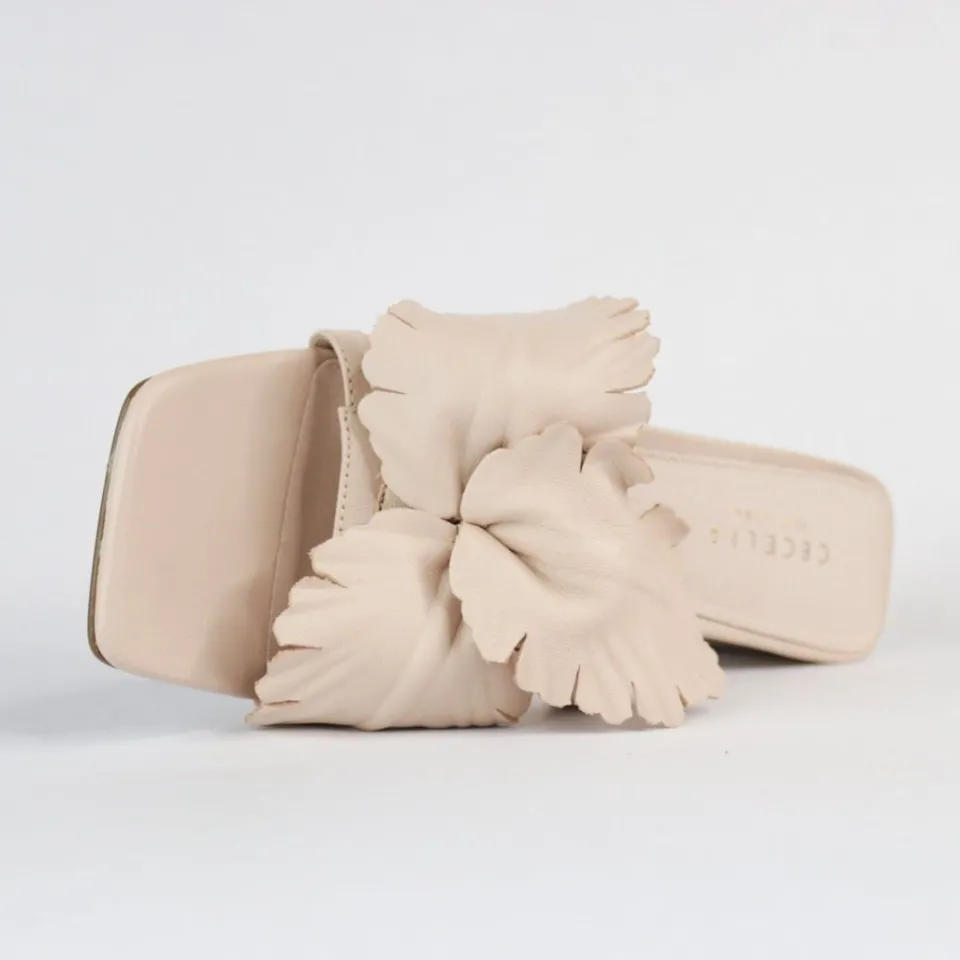 Cecelia New York Happy Outlet