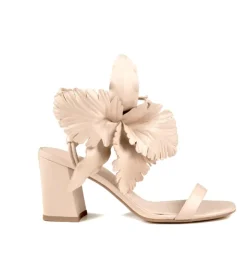 Cecelia New York Hibiscus