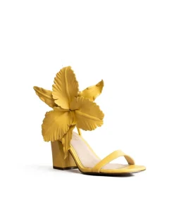 Cecelia New York Hibiscus Best