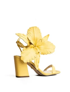 Cecelia New York Hibiscus Best