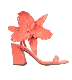 Cecelia New York Hibiscus New