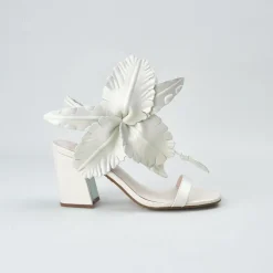 Cecelia New York Hibiscus Outlet
