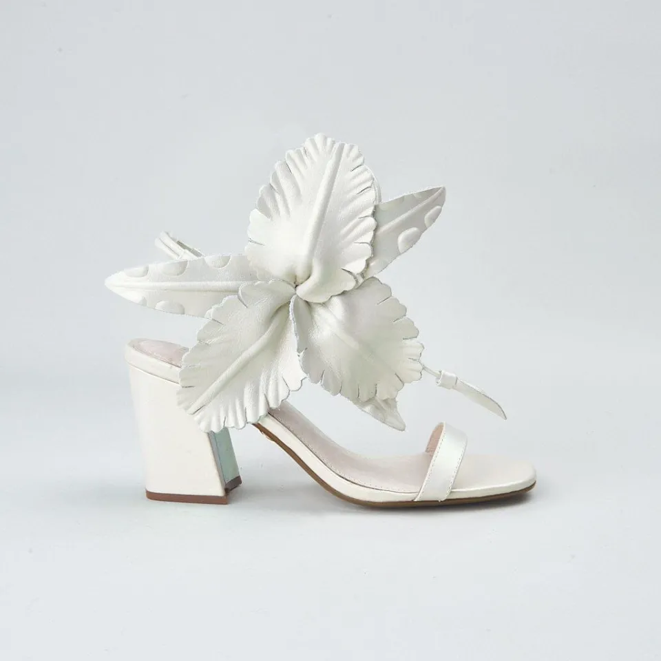 Cecelia New York Hibiscus Outlet