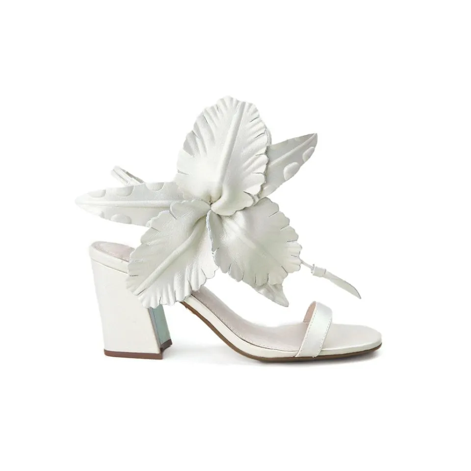 Cecelia New York Hibiscus Outlet