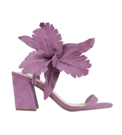 Cecelia New York Hibiscus Online