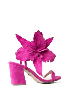 Cecelia New York Hibiscus Hot