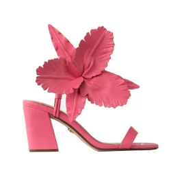 Cecelia New York Hibiscus Best