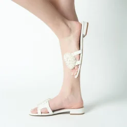 Cecelia New York Lidia Online