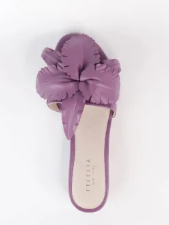Cecelia New York Lila Hot