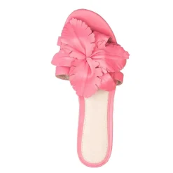 Cecelia New York Lila New