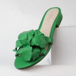 Cecelia New York Lila Discount