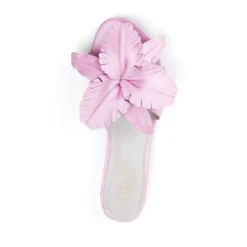Cecelia New York Lila Hot
