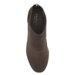 Cecelia New York Nolton New