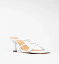 Cecelia New York Terrance Online